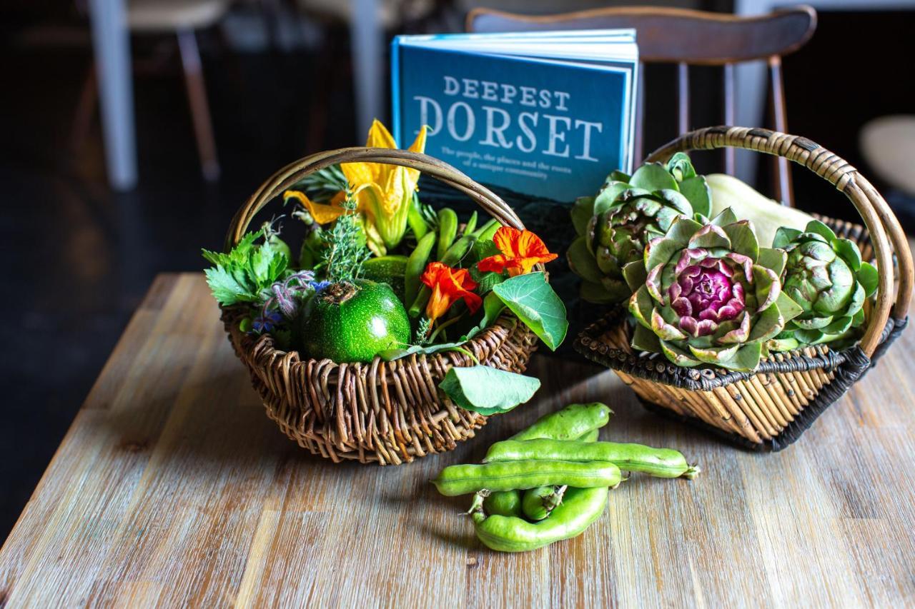 La Fosse At Cranborne Bed & Breakfast ภายนอก รูปภาพ