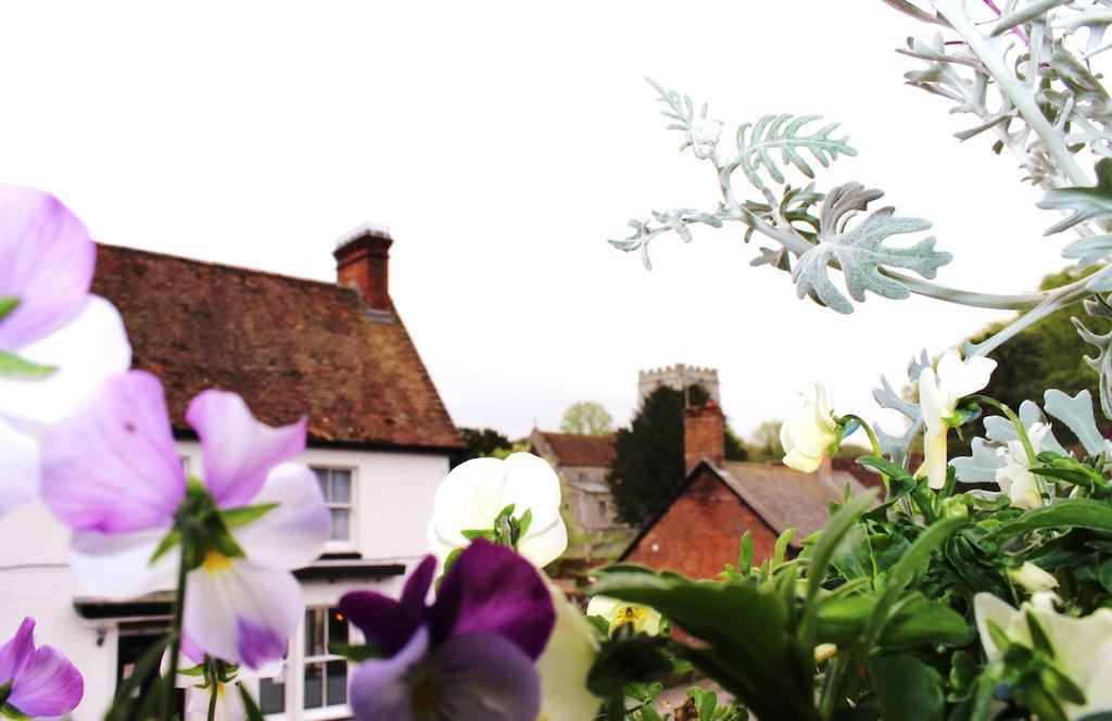 La Fosse At Cranborne Bed & Breakfast ภายนอก รูปภาพ
